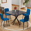 Table de salle à manger Mid Century-565414903