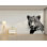 Autocollants muraux léopard, autocollant mural léopard, art mural guépard, animaux vinyle adhésif chat sauvage vinyle autocollant décor pépinière animaux sauvages 542R