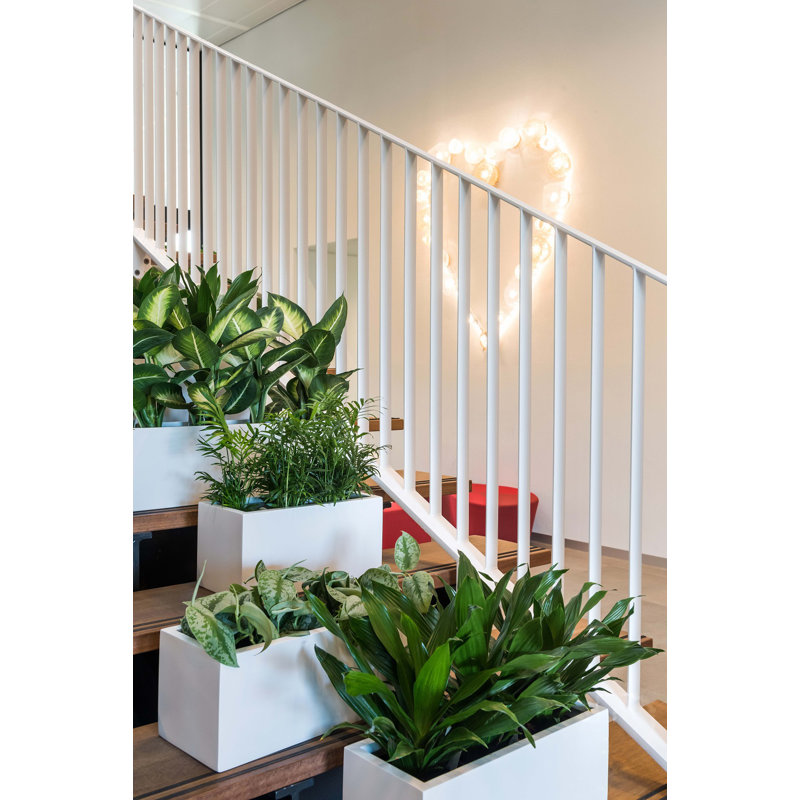 Planter Box, Matte White, 19.7" H x 7.9" W x 7.9" D