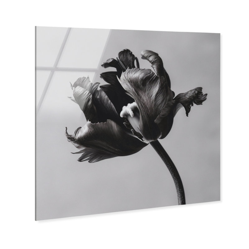 Tidal Wilt I Print by Oliver Gal, 12"H x 12"W, High-Gloss Acrylic Print