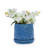 2 Of 7" Navy Blue Ceramic Planters, Frost And Heat Tolerant, Built-In Drainage, Suitable For Patio Living Room Modern Flowerpots With Finish, 2, Weather Drainage Design Greenery-1254764401