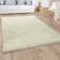 Buchman Solid Colour Hand Woven Area Rug