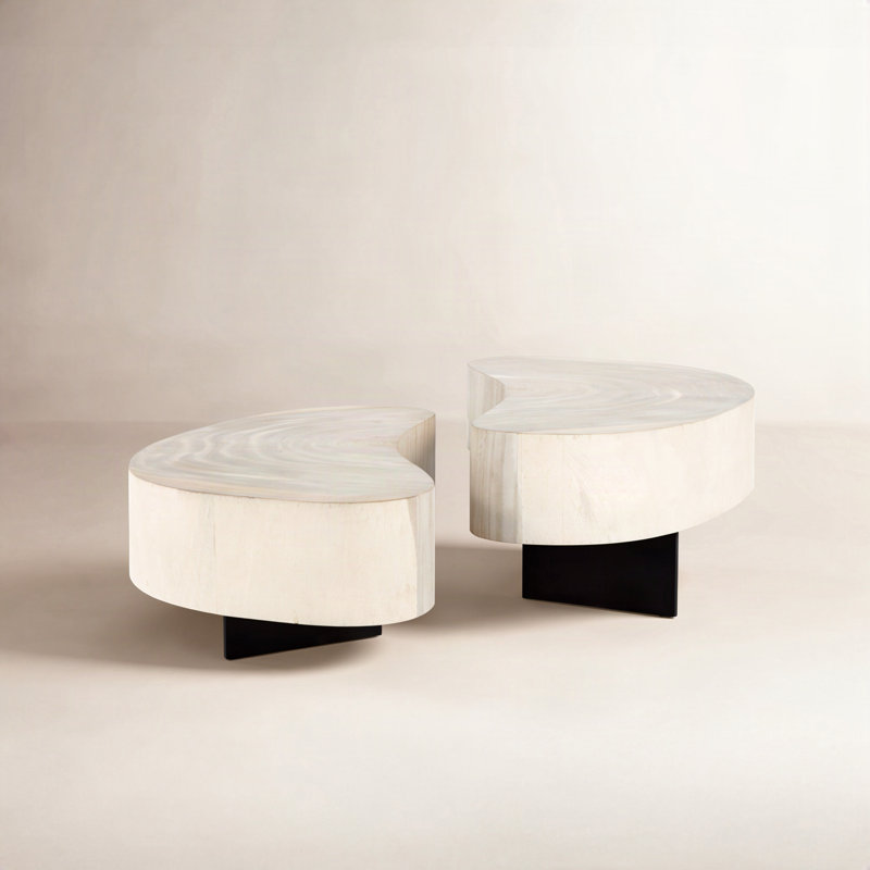 Anasta Coffee Table, Bleached Guanacaste, Dark Gunmetal