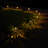 Solar Powered Garden and Tabletop Lights - 4 Count