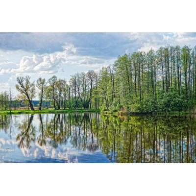 " Sky Reflecting In Pond "