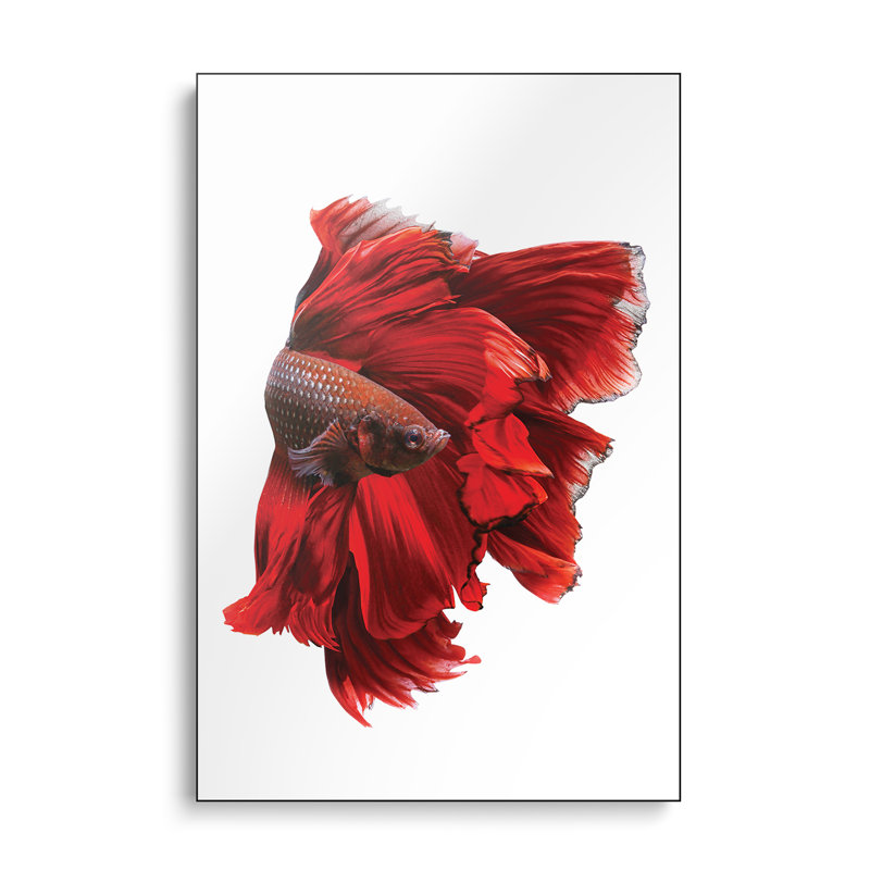Reproduction d'art mural sur toile en métal, la robe rouge par Andi Halil
