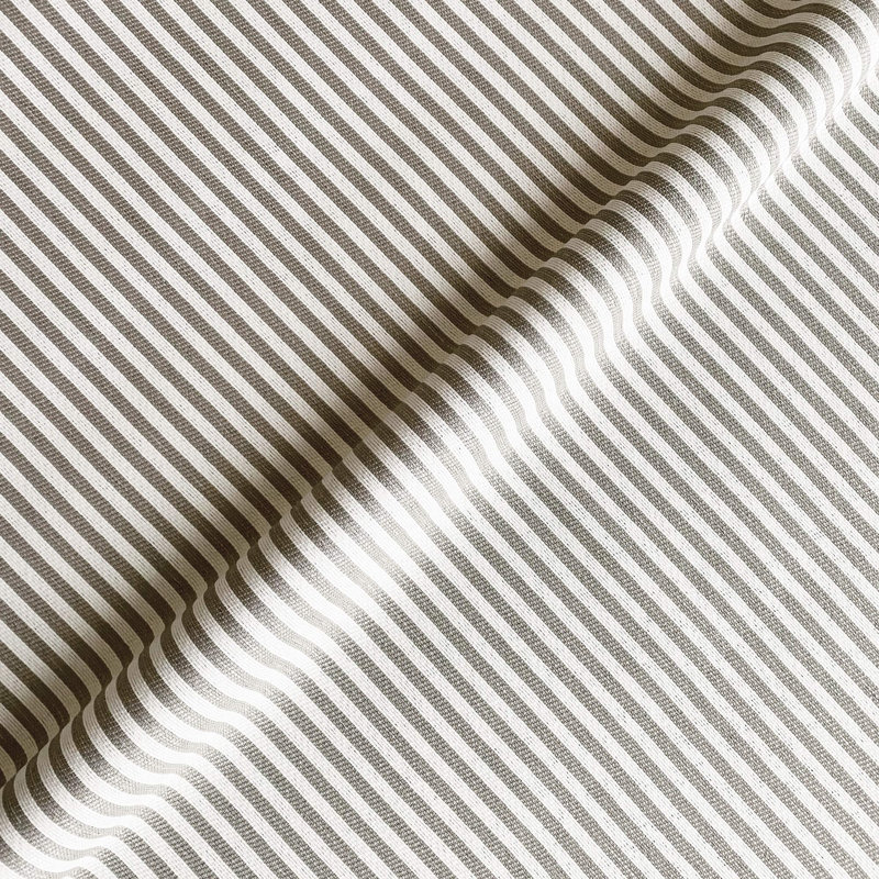Ahoy Fabric, Biscotti
