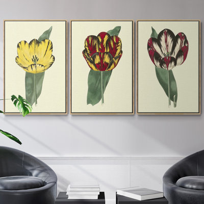 Antique Tulip II, ensemble de 3 toiles tendues avec châssis de qualité supérieure