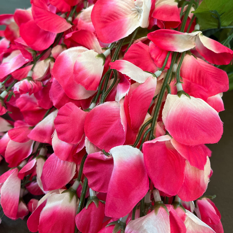 Tiges de glycine, Magenta