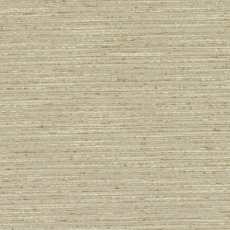 Tissu Briscoe, Champignon