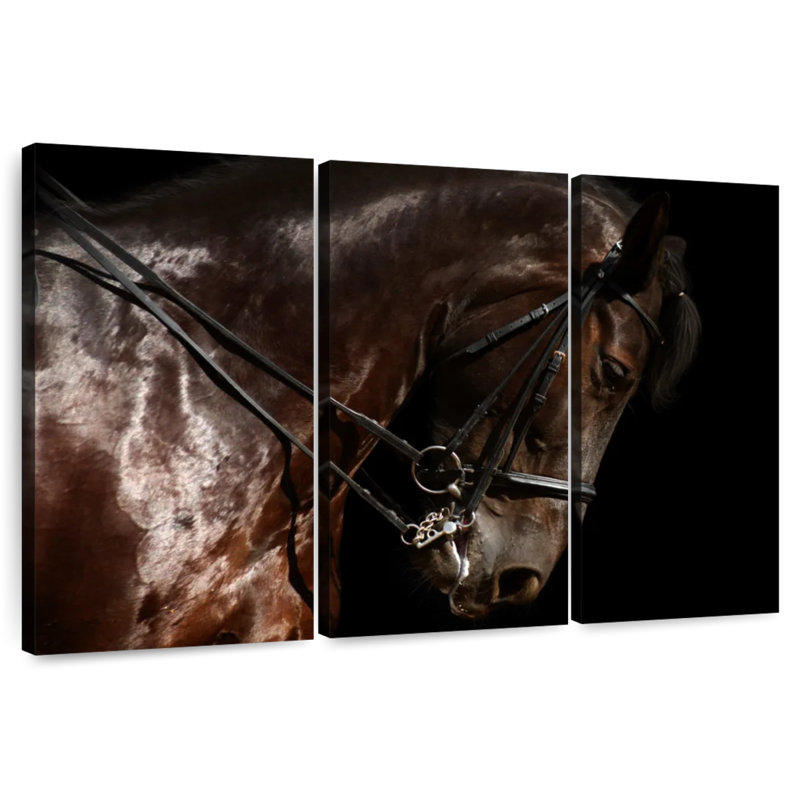 Bridled Horse, 32" H x 50" W