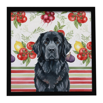 Black Newfoundland Vegetables Framed Metal Print