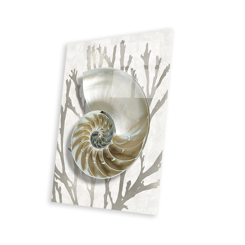 Coquillage, corail argenté II, impression sur verre acrylique, H 24 po x l 16 po x P 0,25 po