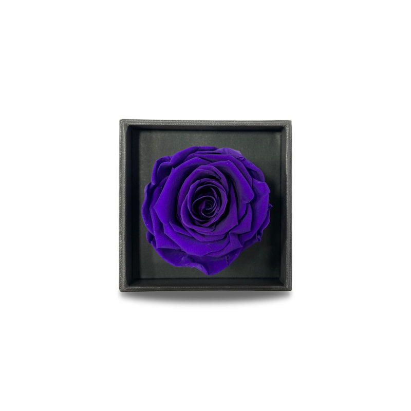 Rose Arrangement in Free-Standing, Purple