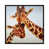 Dark Rustic Wood Floater Framed is unavailable