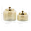 Glass Decorative Jars with Metal Lids Set-973390868