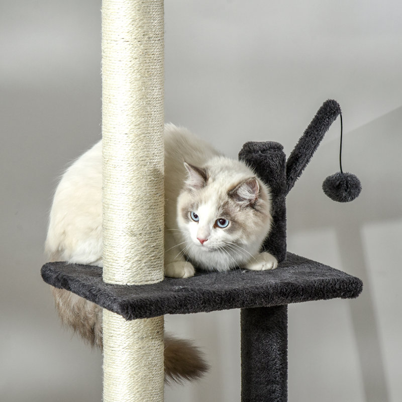 Jouet d'escalade pour chat 106 po