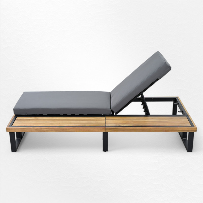 Chaise longue d'extérieur avec coussins, Gris
