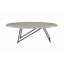 Allis Metal Finish Coffee Table