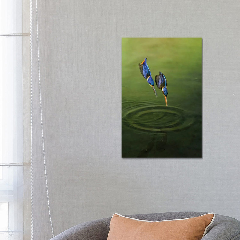 Race for Fish 1 Piece Wrapped Canvas Wall Art