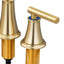 Double Handle Bathroom Sink Faucet with Drainer-16819748