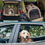 Caisse pour animaux-2056175967-2056175960