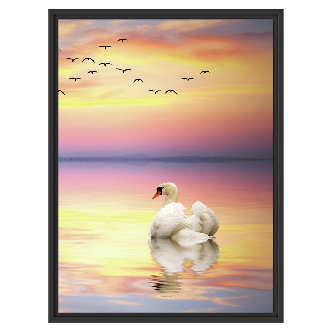 Gerahmtes Wandbild Schwan bei Sonnenuntergang