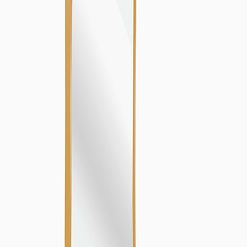 47 x 14IN Door mirror.(W2203P182156), Golden