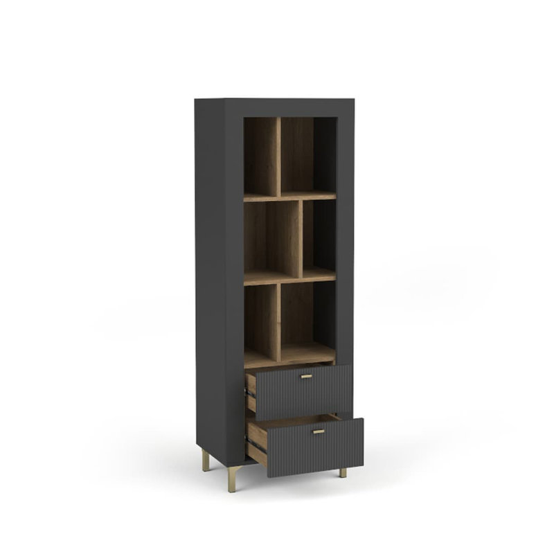 Ajeet 40cm H x 169cm W Library Bookcase Bookcase, Black/Oak