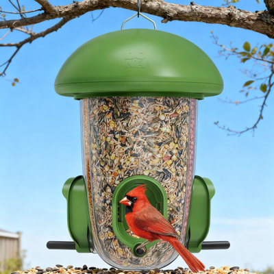 Mangeoire pour oiseaux résistante aux intempéries Lona avec 3 compartiments séparés, panneau transparent pour la surveillance des graines, grande capacité pour les cardinaux et les pinsons, facile à nettoyer et à remplir