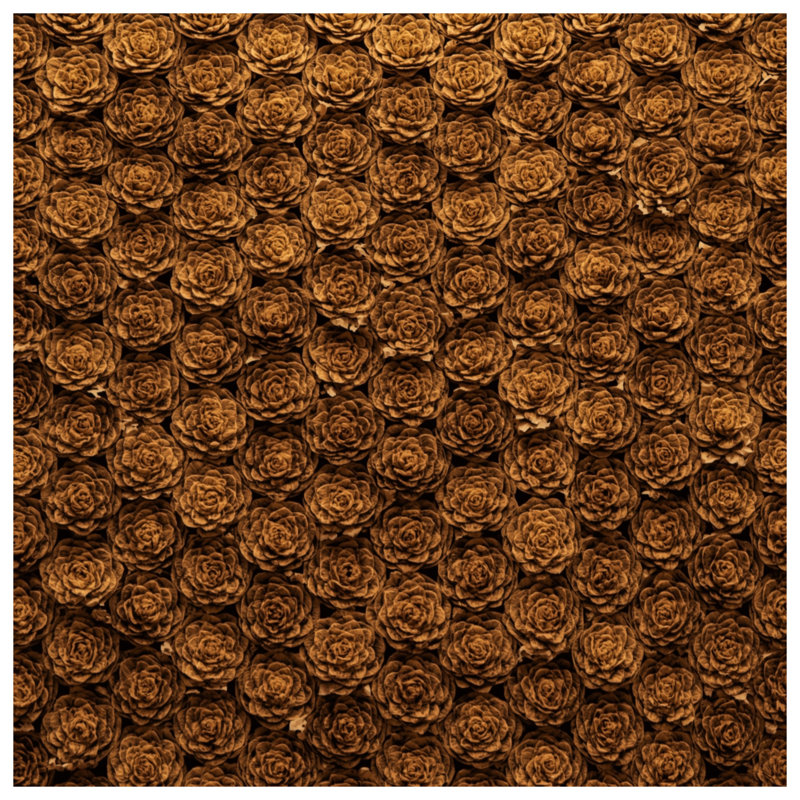 Coussins Brown Brown, 14 X 14 pouces