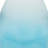 Jaionna Decorative Bottle