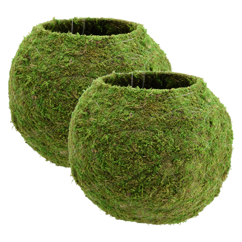 Bumgarner Pot Planter, 7.5" H x 8" W x 8" D, Green