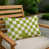 Beige Checkered 244