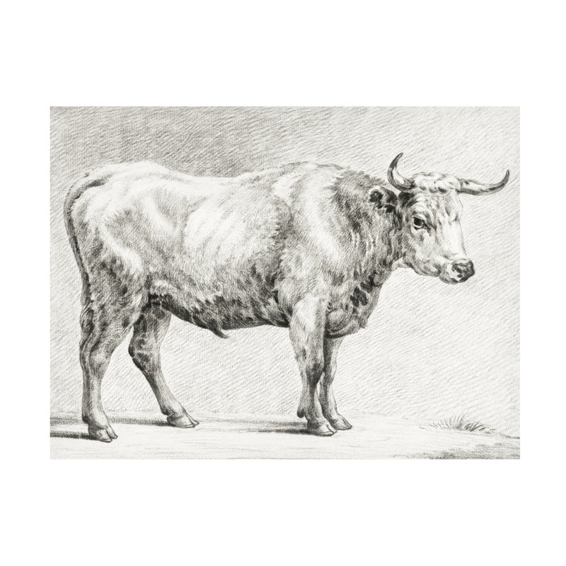 «Bernard's Bull Renderings IV» sur, H 35 po x l 35 po