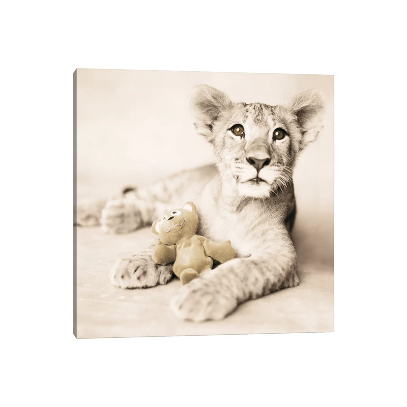 Arjuna And Teddy by Rachael Hale - Print on Canvas, Wrapped Canvas, 45.72 cm H x 45.72 cm W x 3.175 cm D