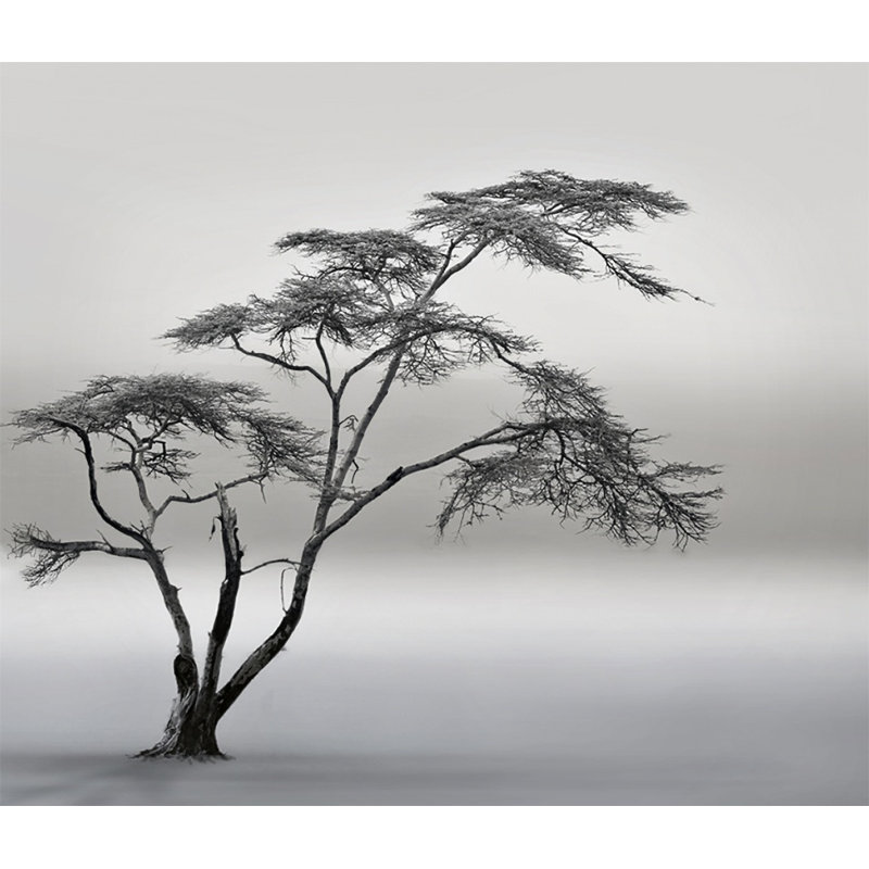 Wrapped Canvas Print, 60.96 cm H x 91.44 cm W