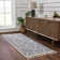 Davyeon Abstract Gray Area Rug