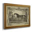 Distingué chevaux IV - Cadre photo, impression sur toile-1269743844