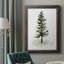 Watercolor Pine II - reproduction de cadre photo sur toile-558010220