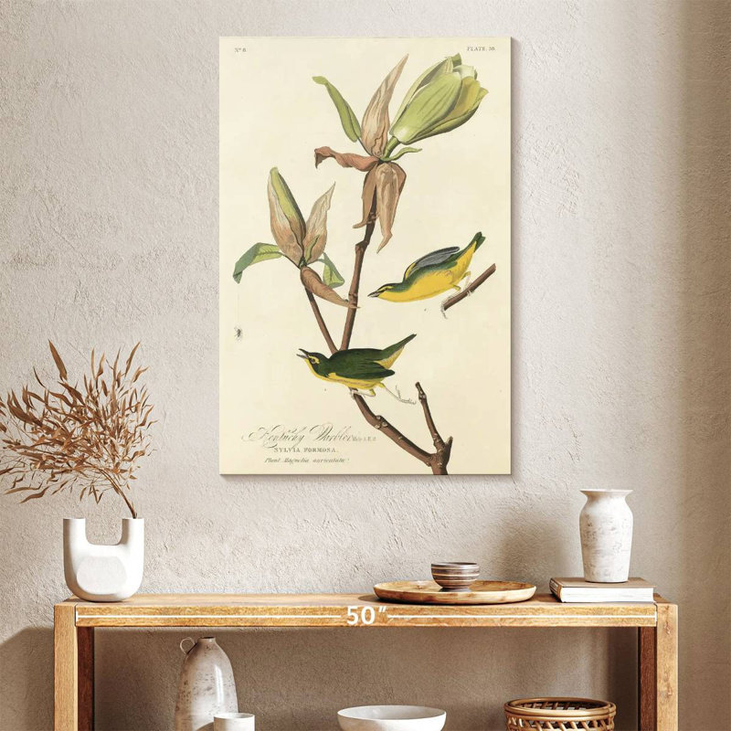Brampt Kentucky Warbler, 39" H x 26" W
