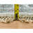Sadeel One-of-a-Kind 5'10" New Age Round Area Rug Ivory