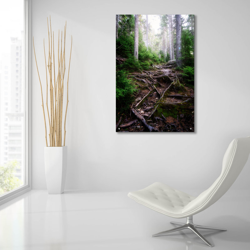 Art mural en verre Ebern Designs «The Forest Gates» par Rick Berk, H 36 po x l 24 po x P 0,2 po