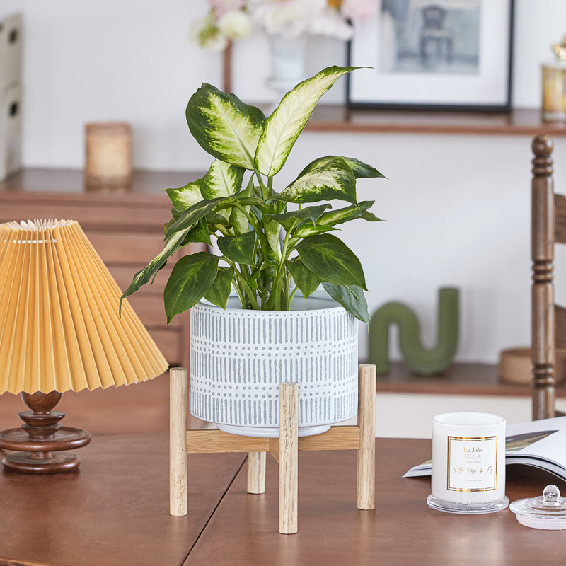Elayna Ceramic Planter with Wood Stand, Beige