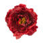 Rond de serviette Jacque-1051504274