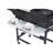 Dual Gas Plancha & BBQ Grill Combo