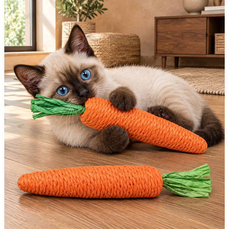0.2 " H Cat Toys