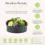 Hortensias et plantes succulentes disposées dans un pot en fibre de pierre