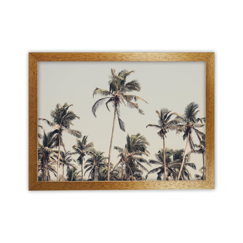 Palm Trees On The Beach by Victoria Frost - Print, 64cm H x 88cm W x 3cm D, Oak Framed