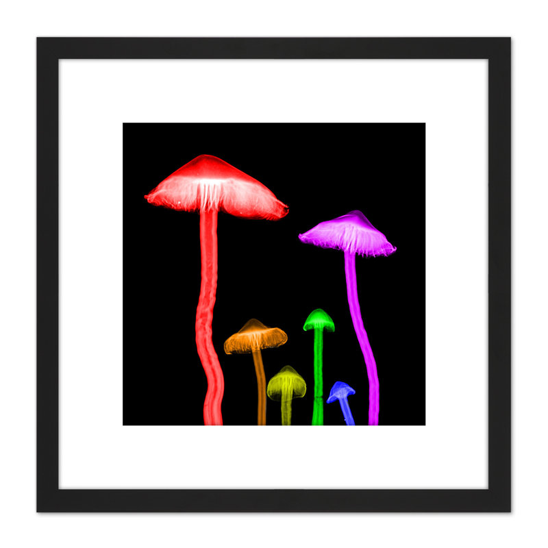 Schwartz NJIT Mushrooms Transparent False Colour X-Ray - Single Picture Frame Print